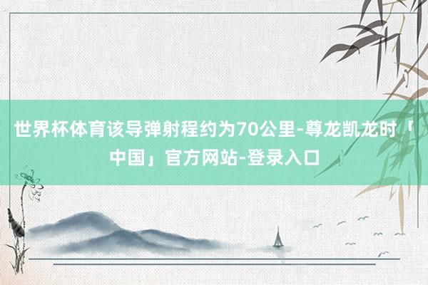 世界杯体育该导弹射程约为70公里-尊龙凯龙时「中国」官方网站-登录入口